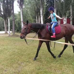 обучение верховой езде Звпорожье