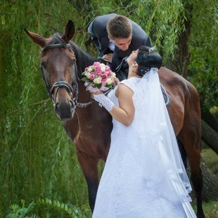 свадебная фотосессия с лошадьми
