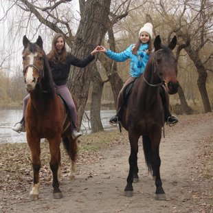 конные прогулки Запорожье