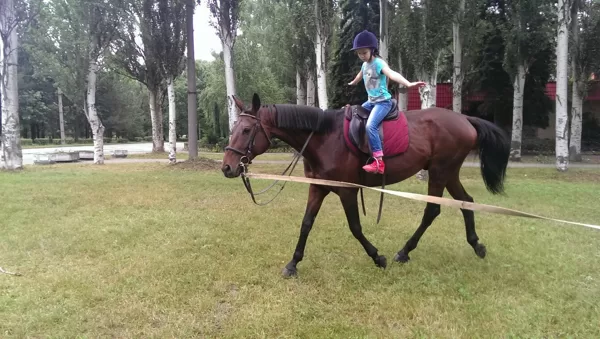 обучение верховой езде Звпорожье